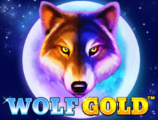 wolf gold